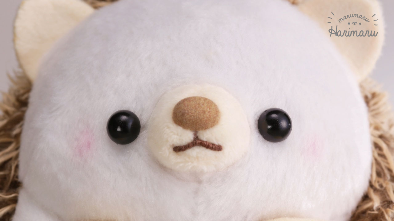 はりまるの日常をのぞいてみよう